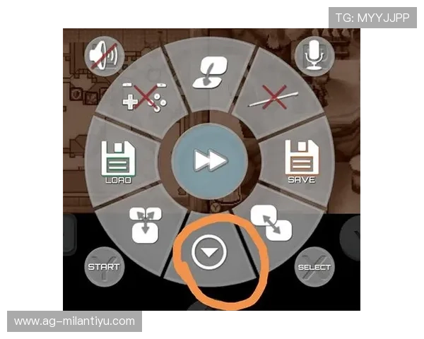 海星tv与其他主流视频平台的功能对比分析，帮助用户选择最适合的观看方案